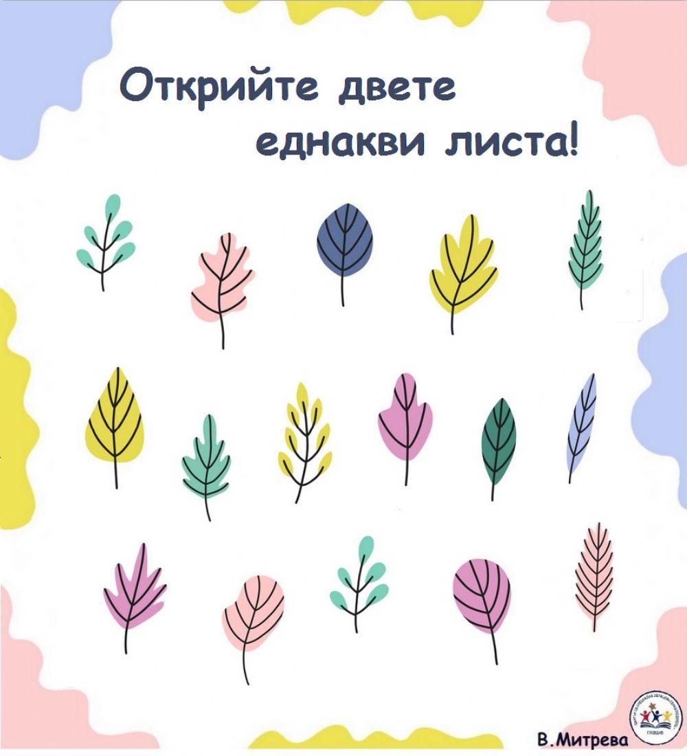 Открийте двете еднакви листа!