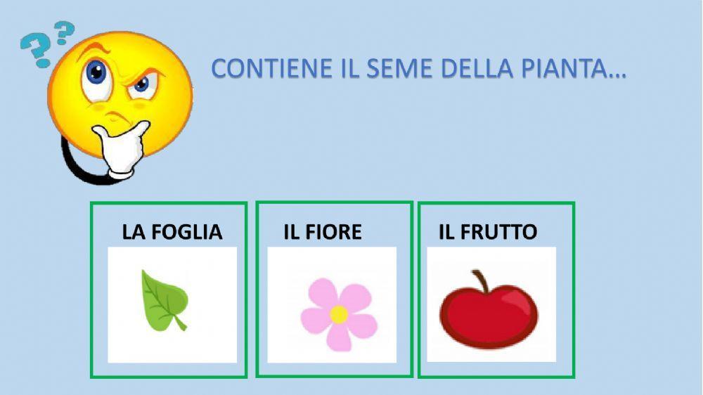 Le parti dell'albero