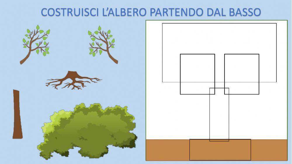 Le parti dell'albero