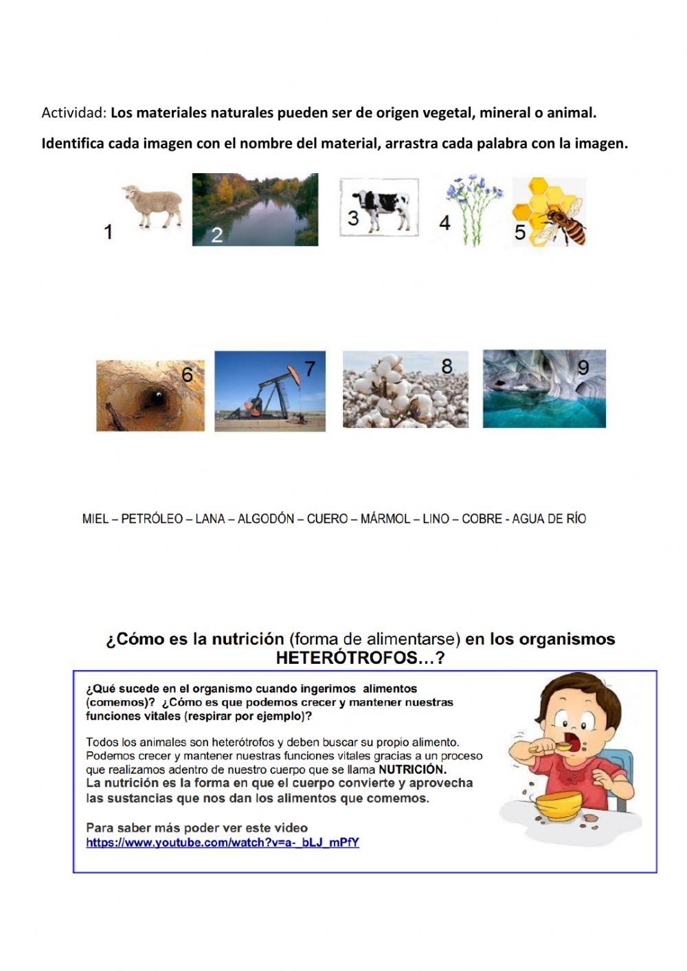 Proyecto interdisciplinario bilogia quimica fisica ingles