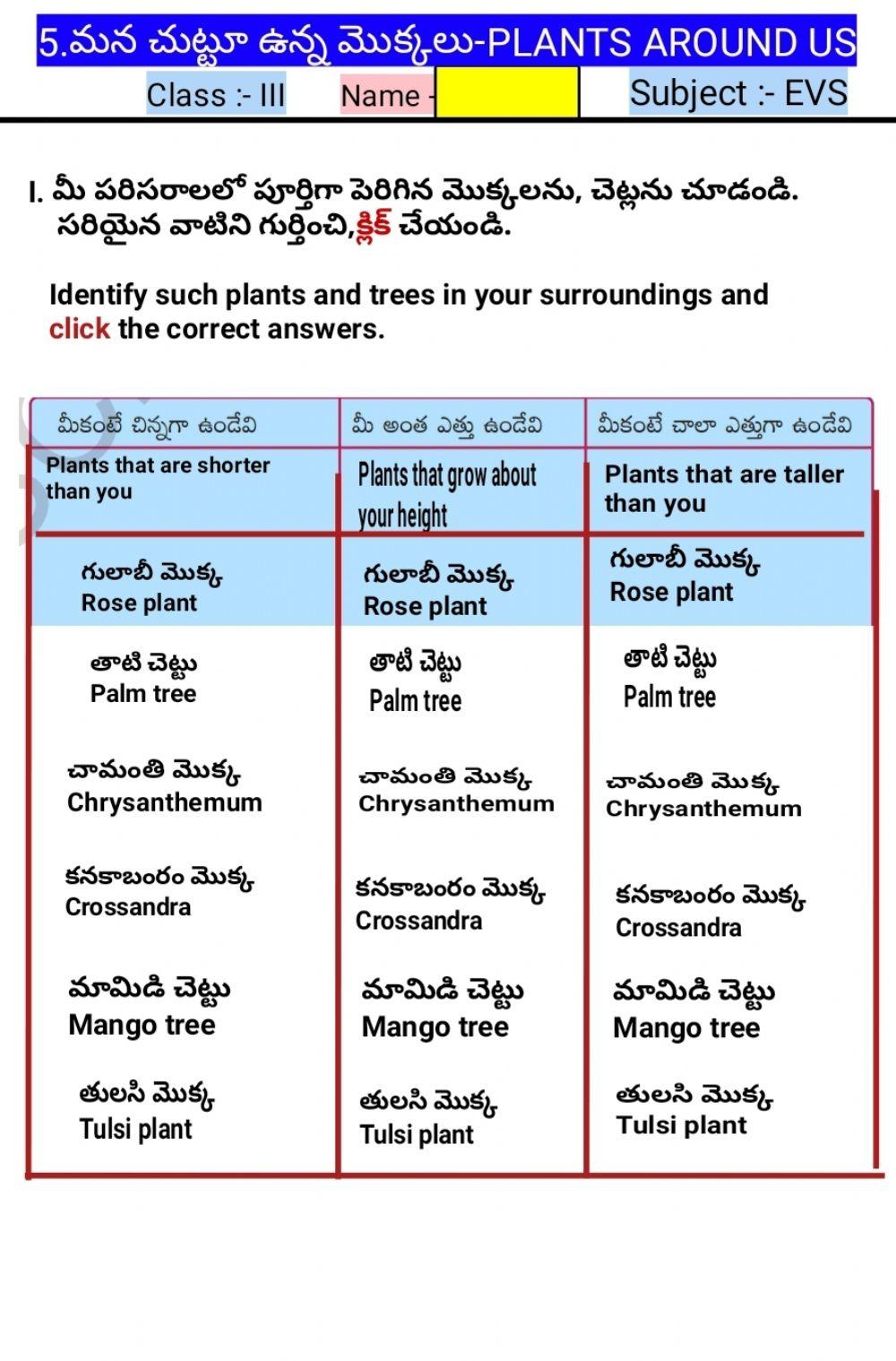 3rd EVS-WS-5-4-BY MAHESH MACHARLA