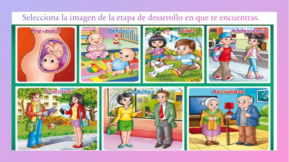 Repaso conocimiento del medio