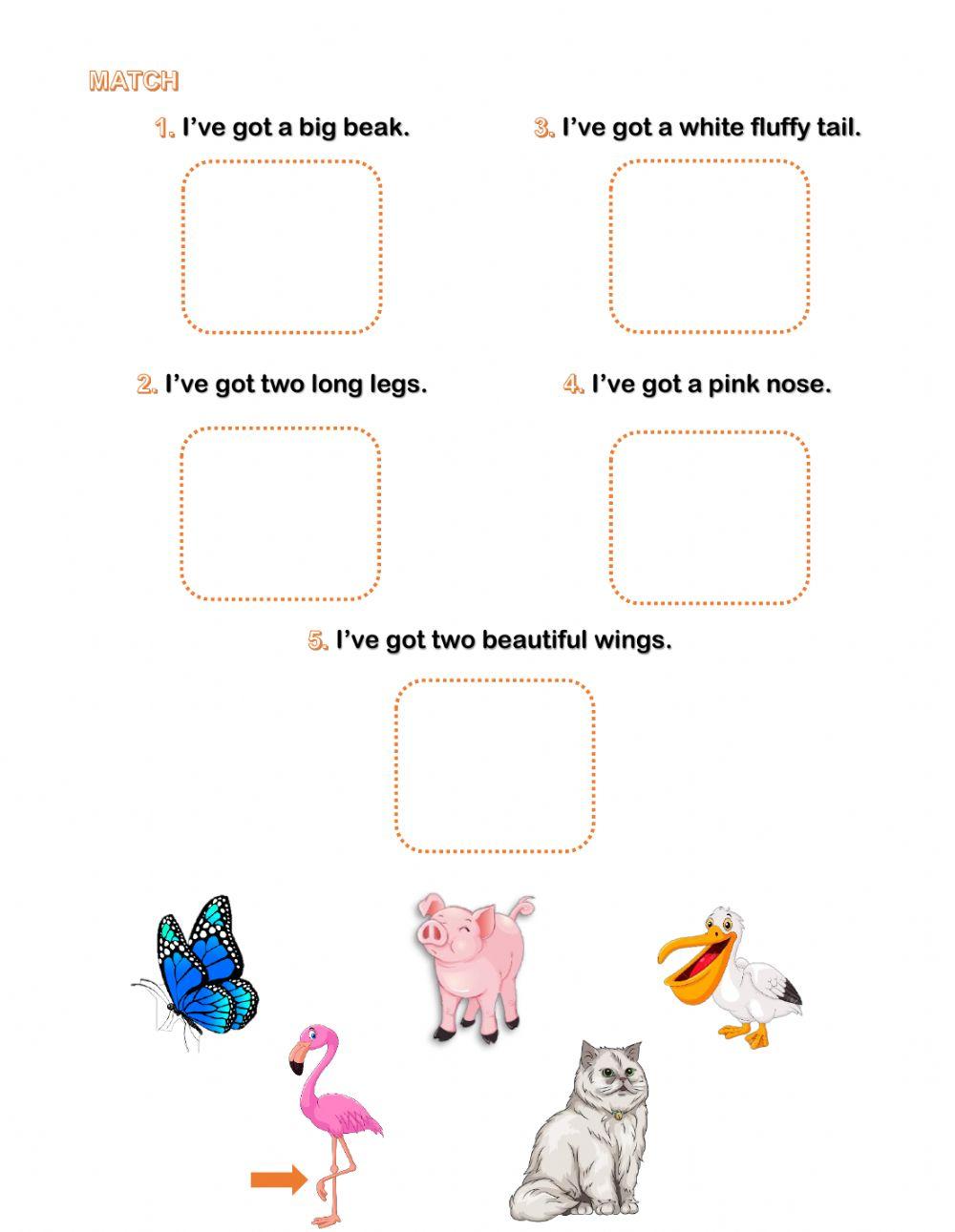 Parts of the body: ANIMALS