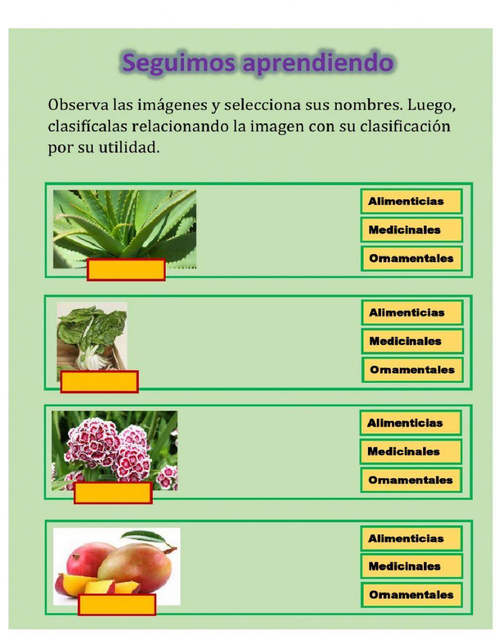 Utilidad de las plantas