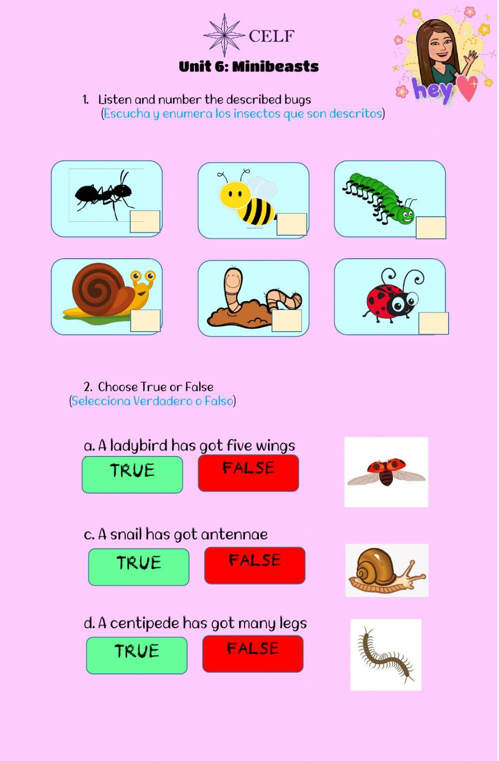 4th Grade Exit pass 6