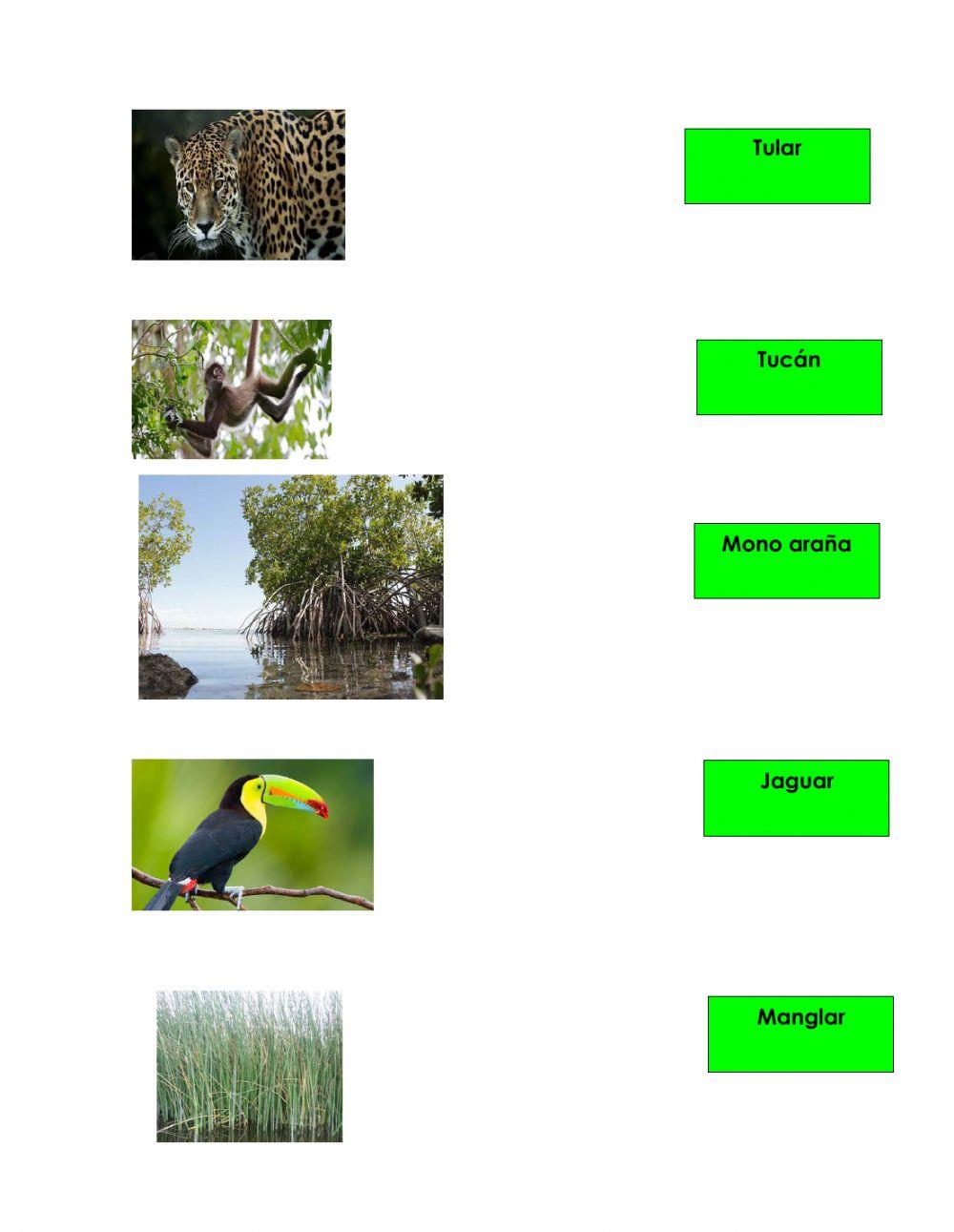 Examen de la entidad donde vivo