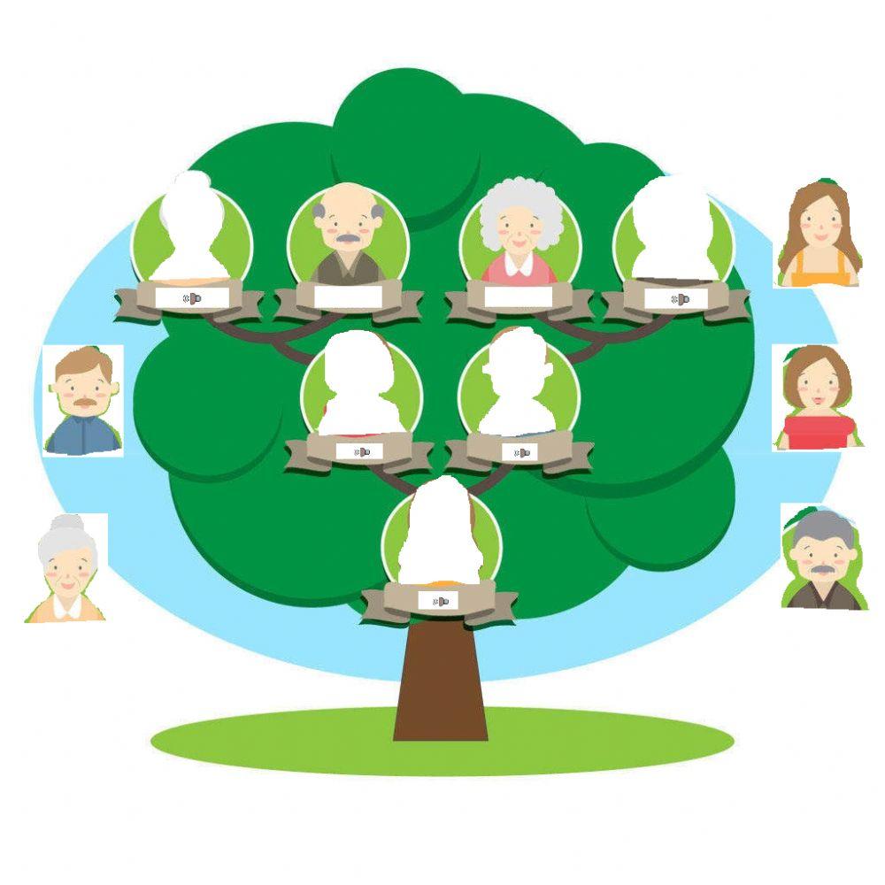 Family Tree