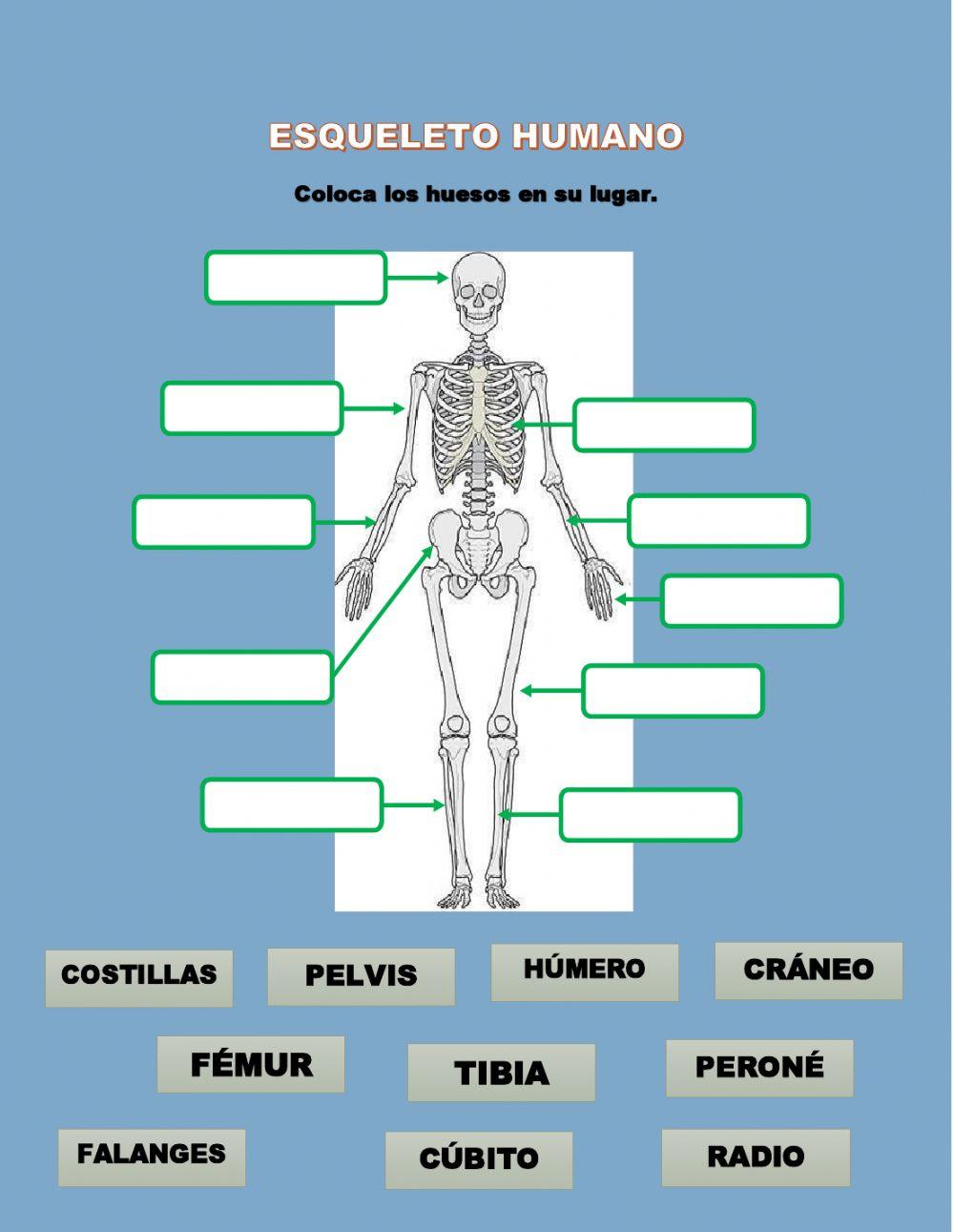 Educacion Fisica 3 grado