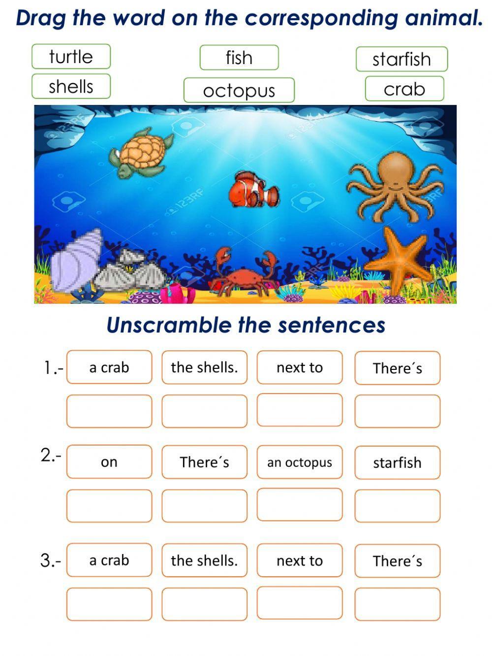 Prepositions of place, sea animals vocabulary, order the sentences.
