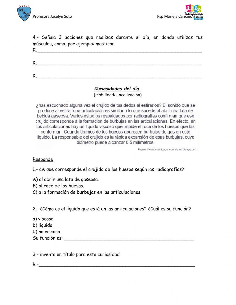 Accion del sistema muscular