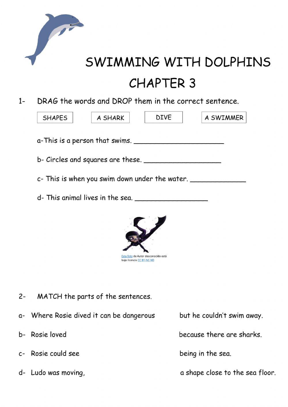 Swimming with Dolphins