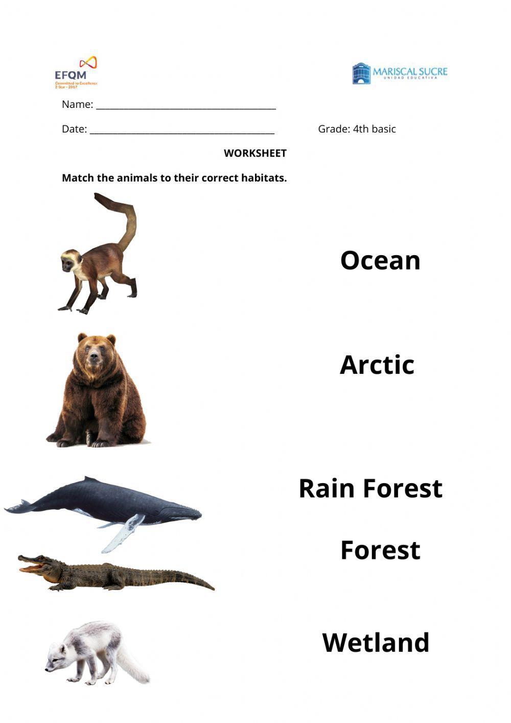 Grade 4 Science Unit Habitats Clipart