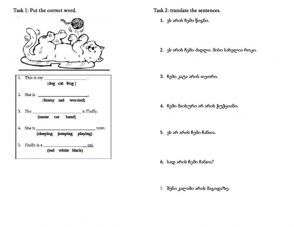 Grade 3- vocabulary and translation