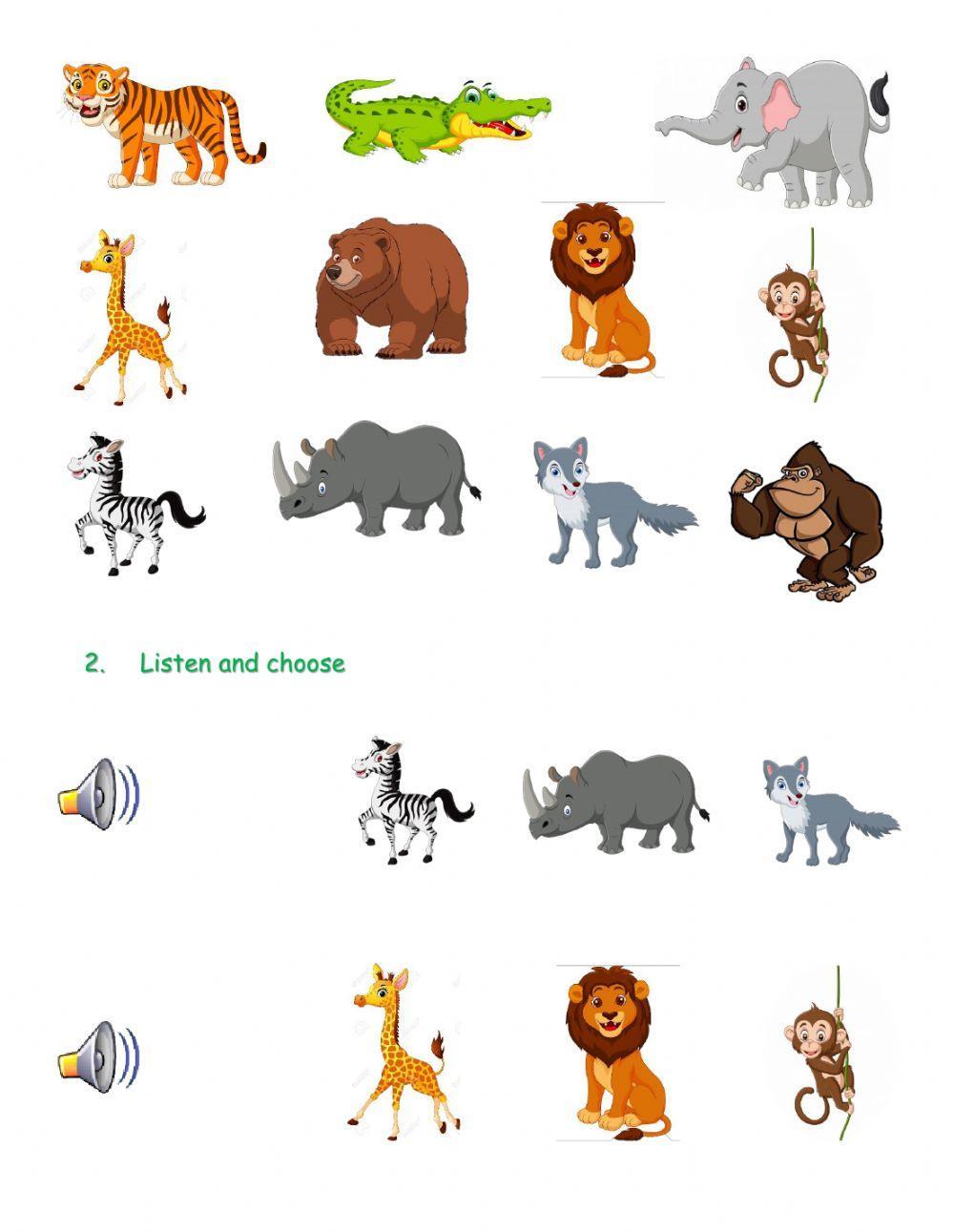 Wild animals vocabulary