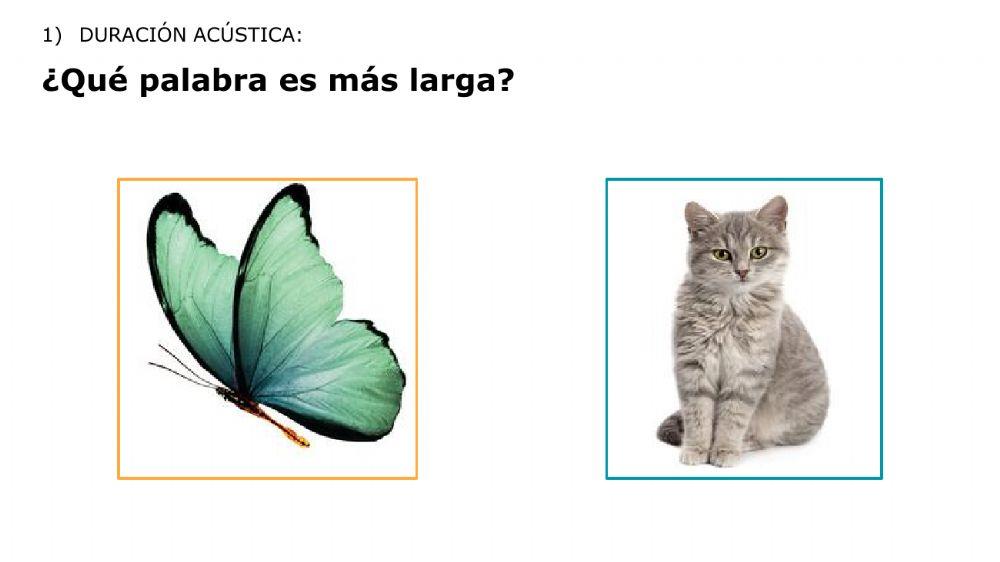 Evaluación Cualitativa Parte 1