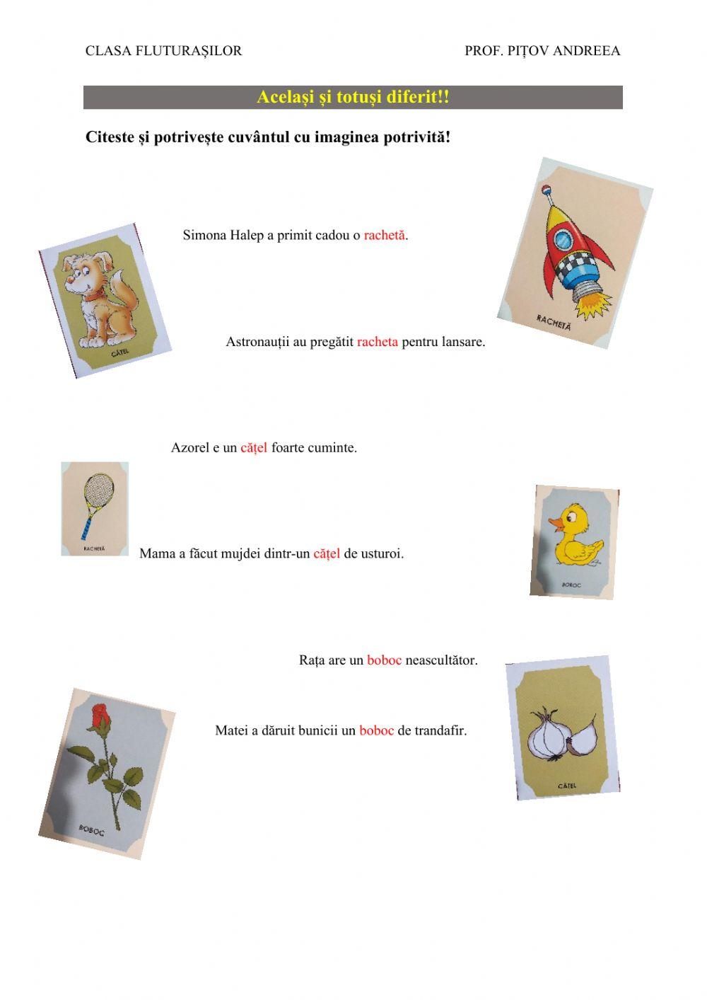 Același și totuși diferit - omonime