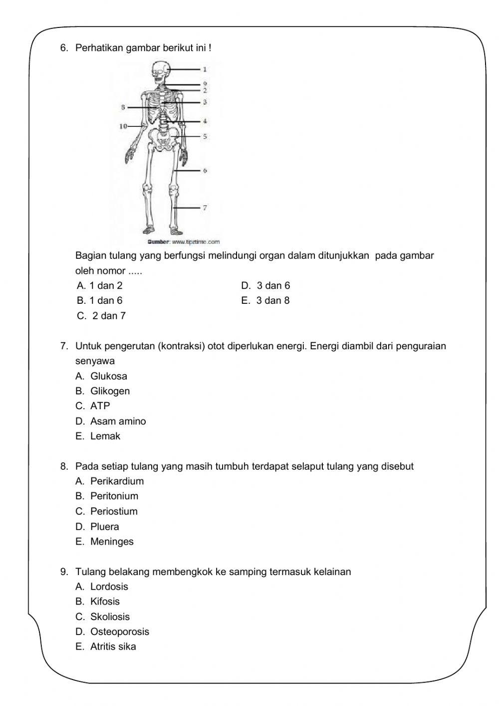 Soal PM Biologi - Sistem Gerak
