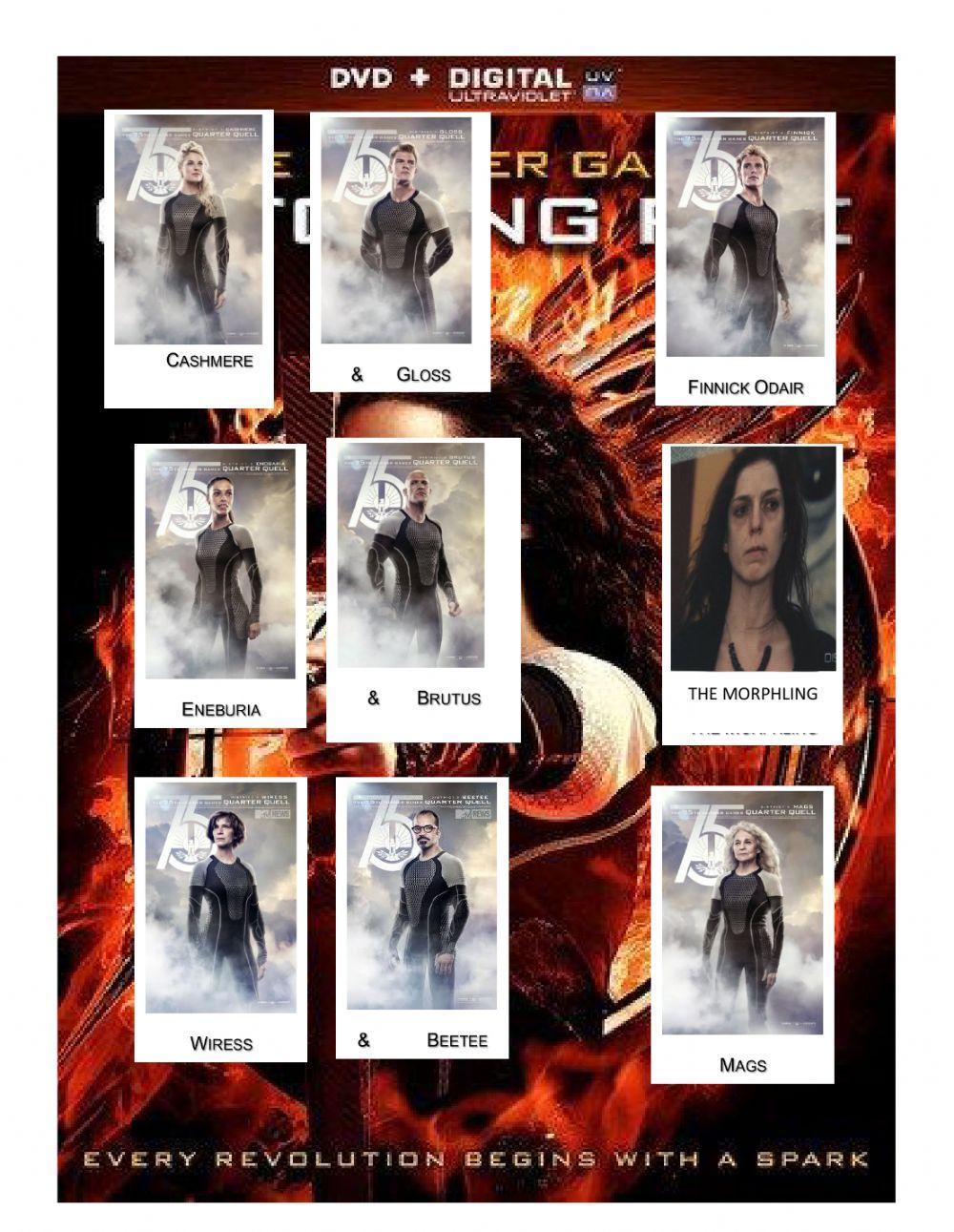 The Hunger Games (Relative Clauses)