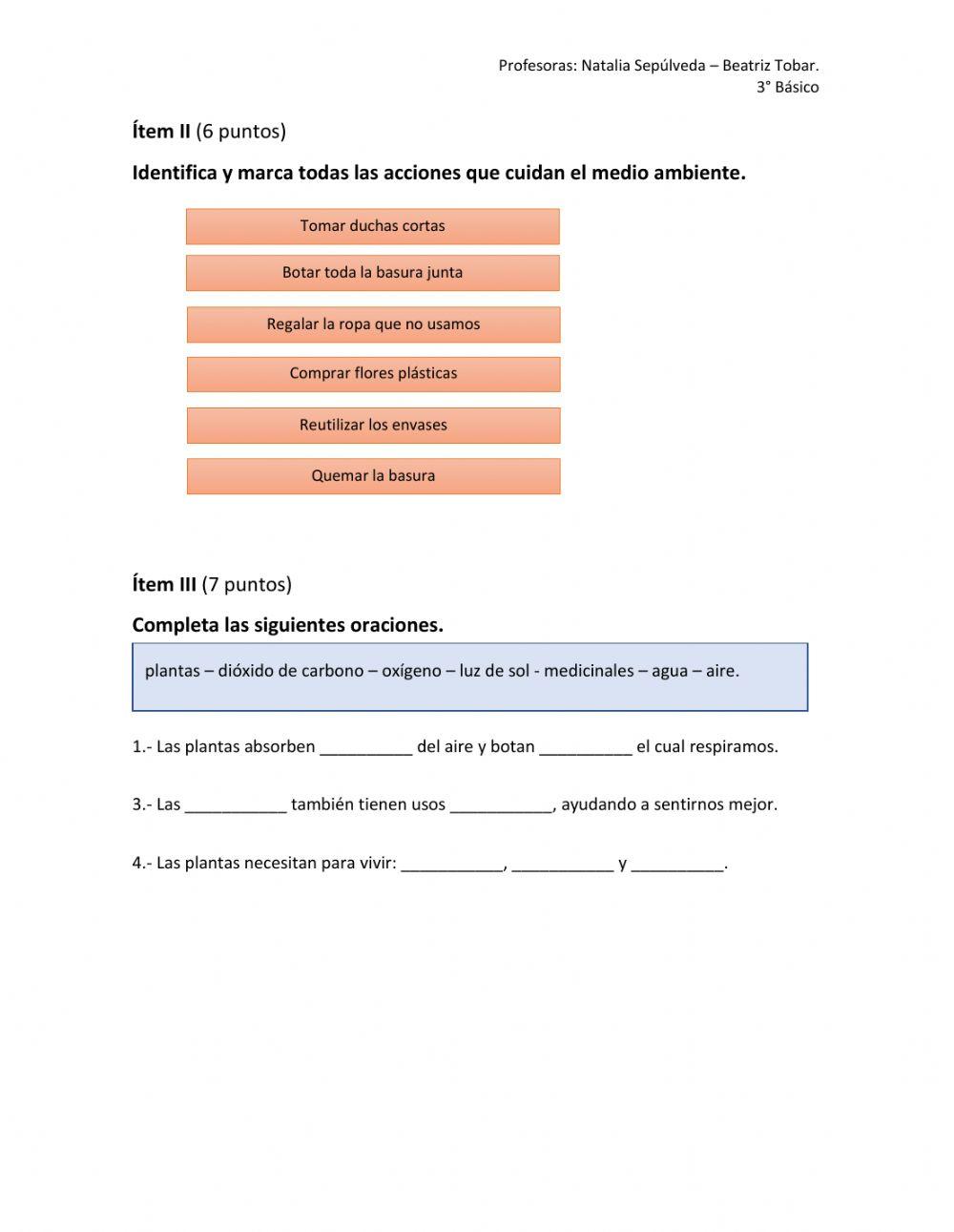 Evaluación -Las plantas y sus usos-