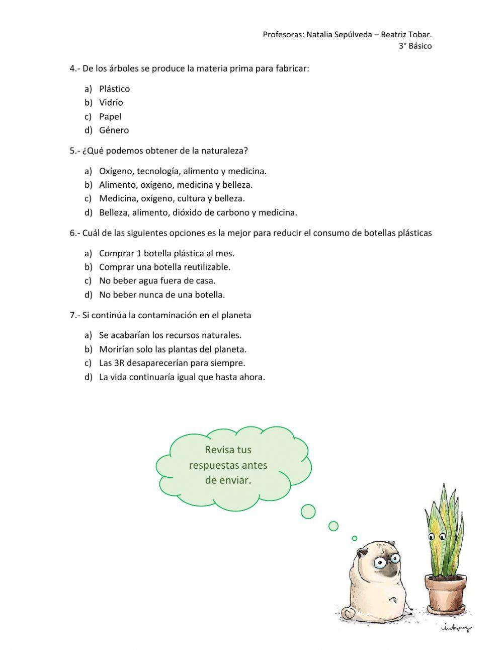 Evaluación -Las plantas y sus usos-