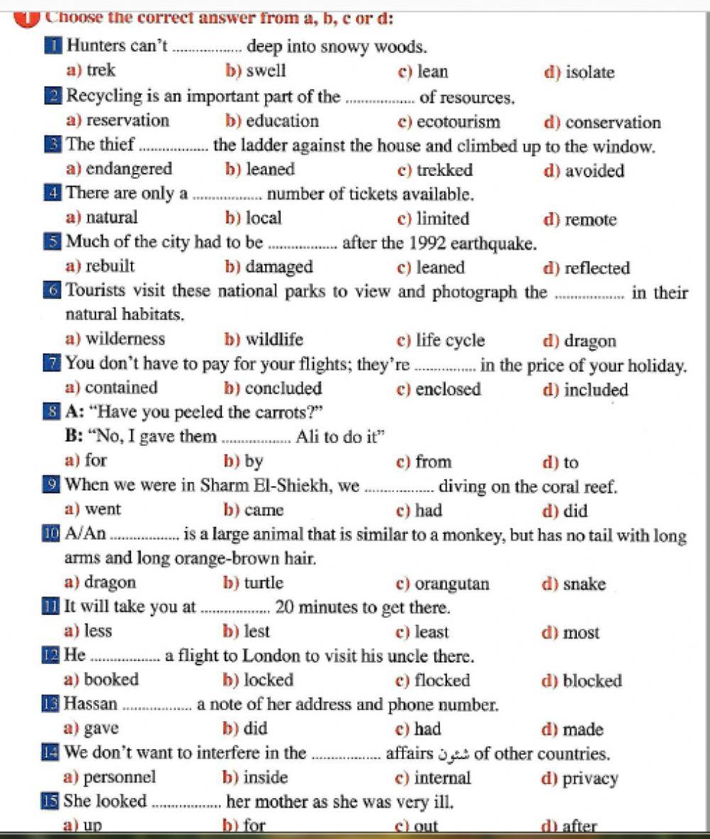 Exercises on Vocabulary