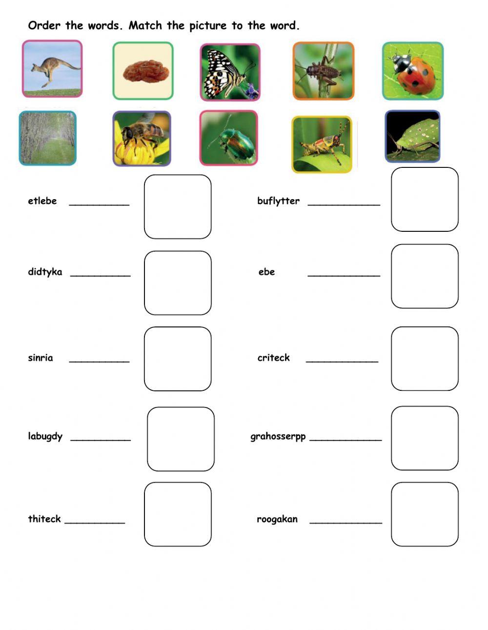 Vocabulary unit 5 3rd grade
