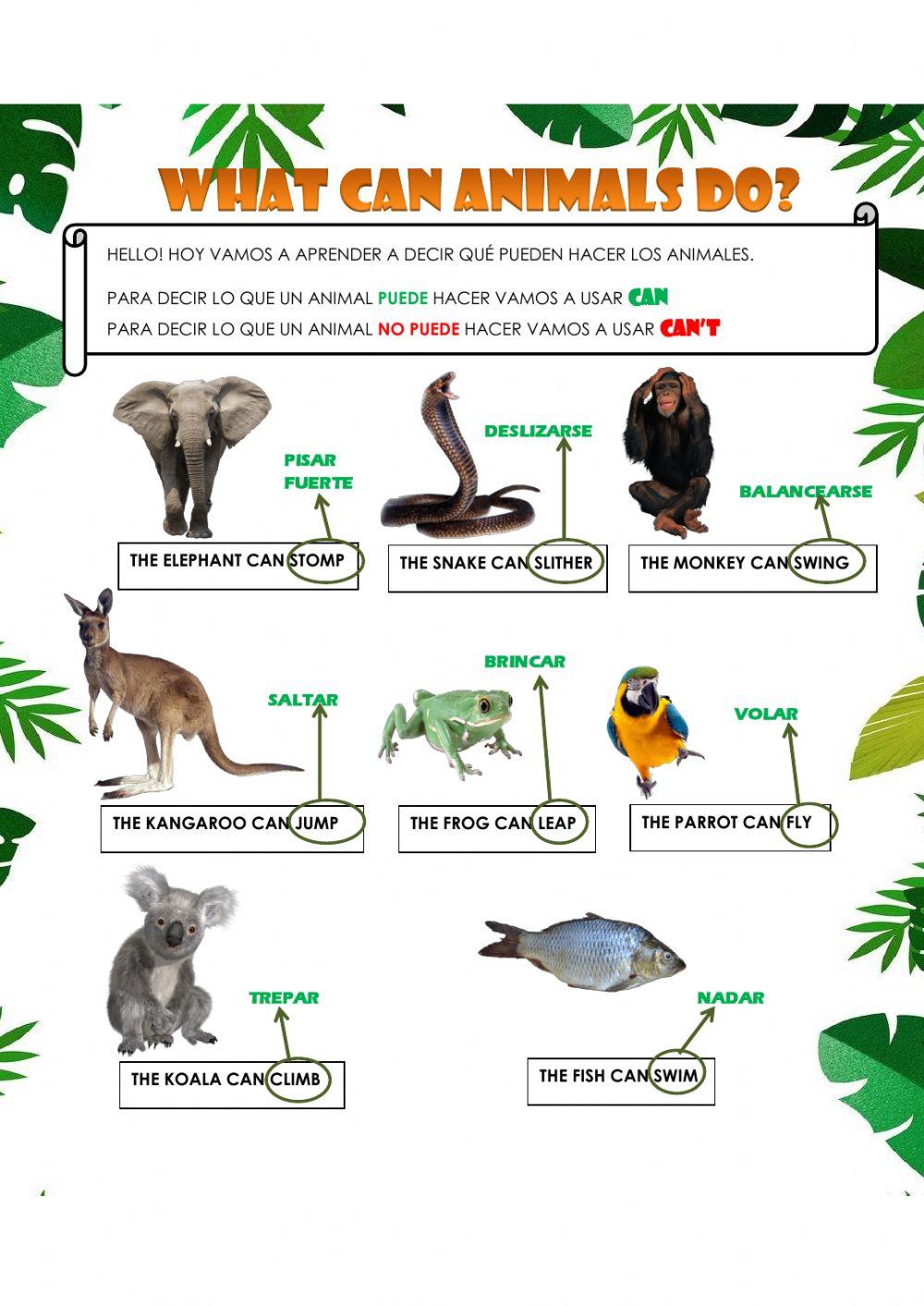Wild animals Free Interactive Worksheets 476523