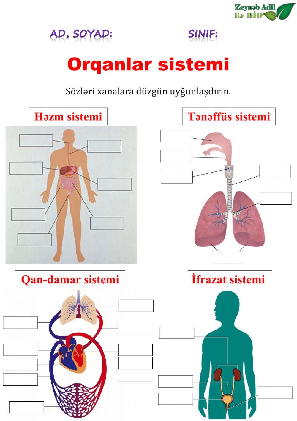 8-ci sinif biologiya