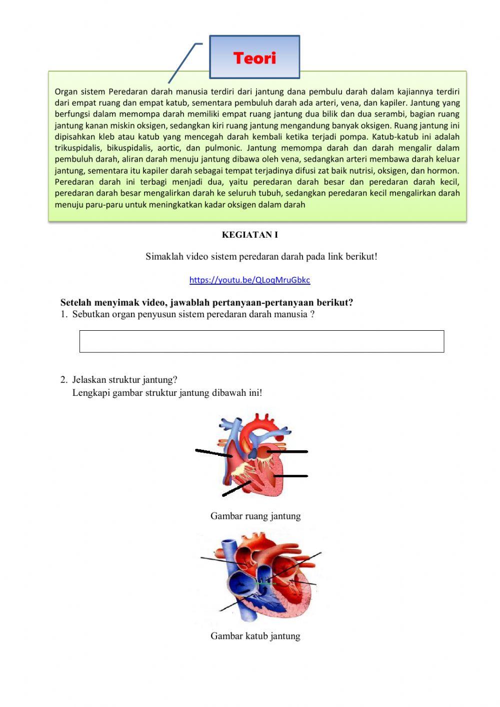 LKPD Pertemuan 2 Sistem Peredaran Darah
