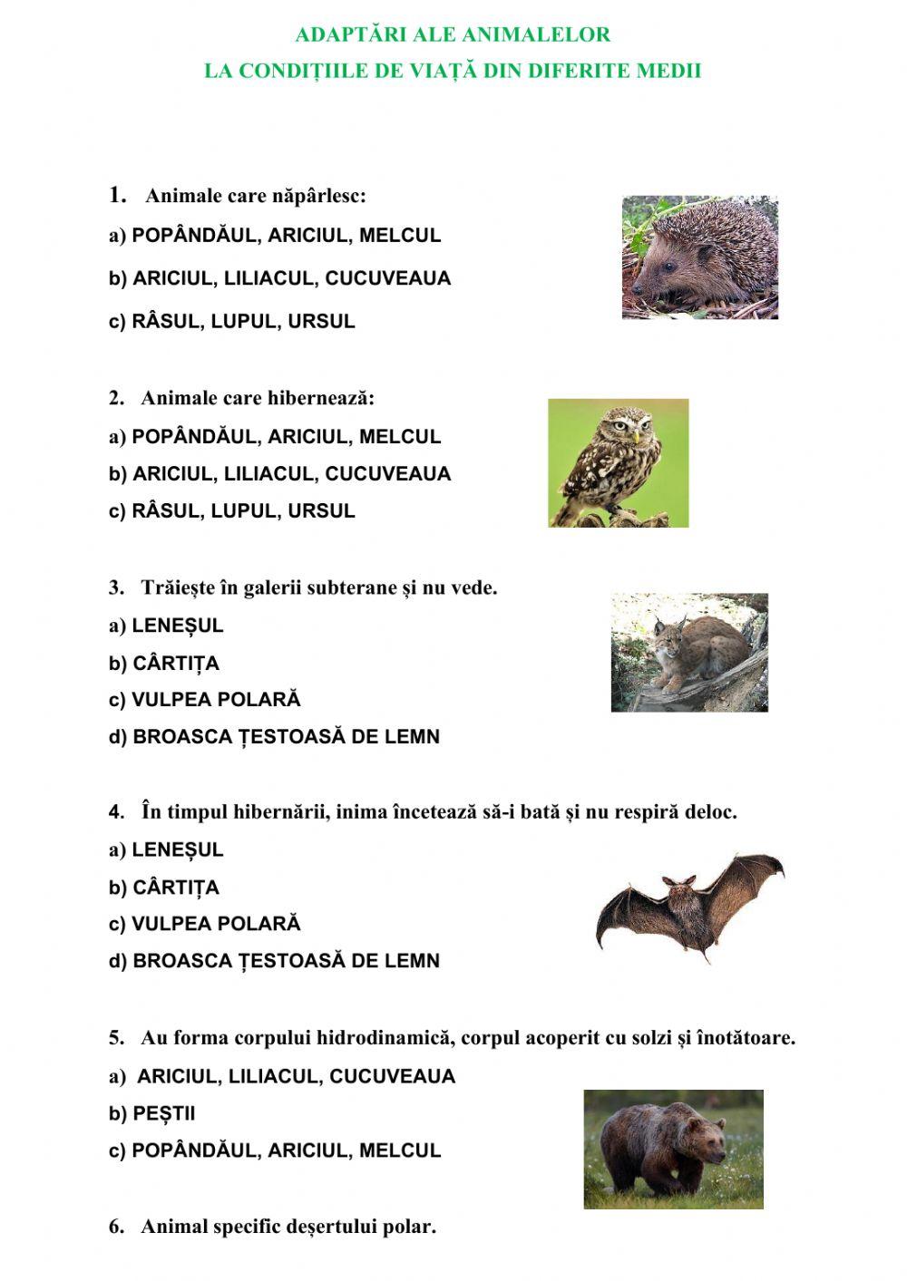 ADAPTĂRI ALE ANIMALELOR  LA CONDIȚIILE DE VIAȚĂ DIN DIFERITE MEDII