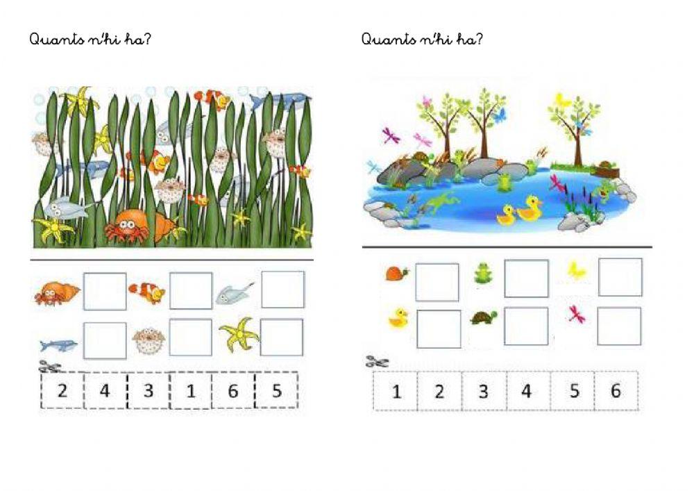 Iniciació a la suma 5
