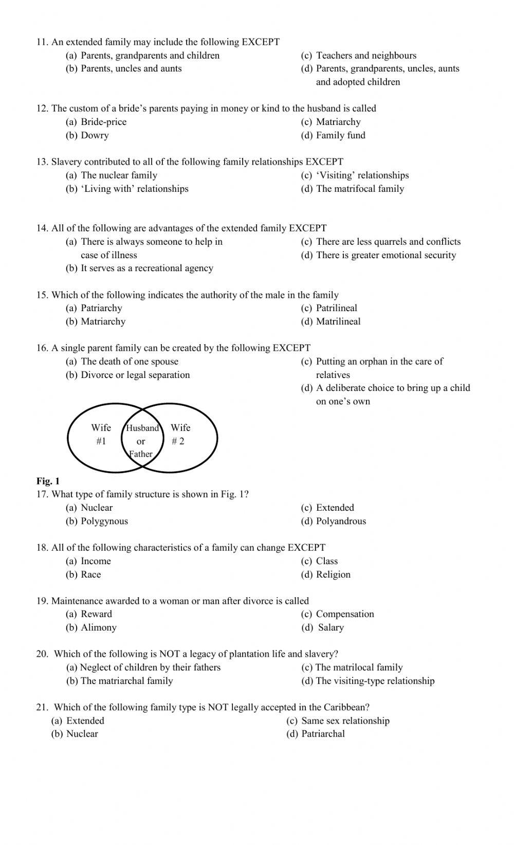 CSEC Social Studies The Individual and the Family online exercise for