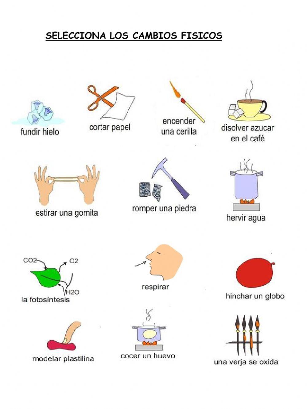 Cambios de la materia