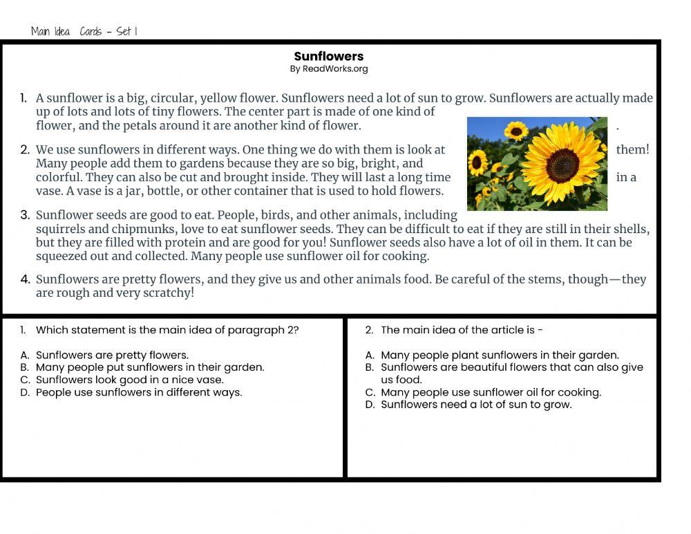 Main Idea Task Cards Set 1