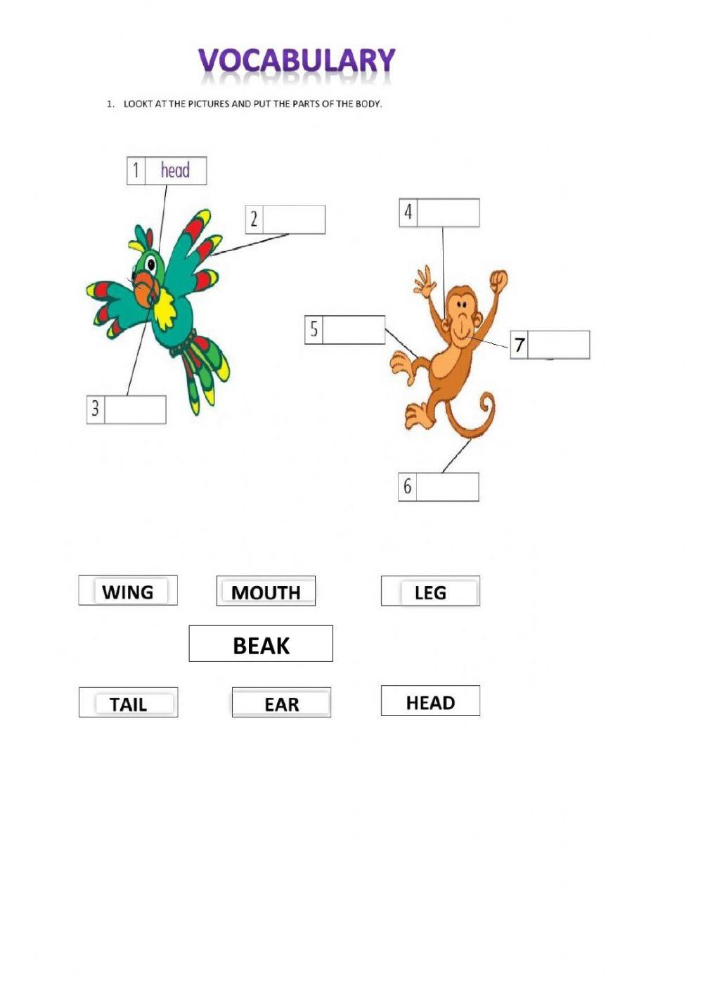 TAREA 2º inglés . Semana 9 de noviembre BODY PARTS