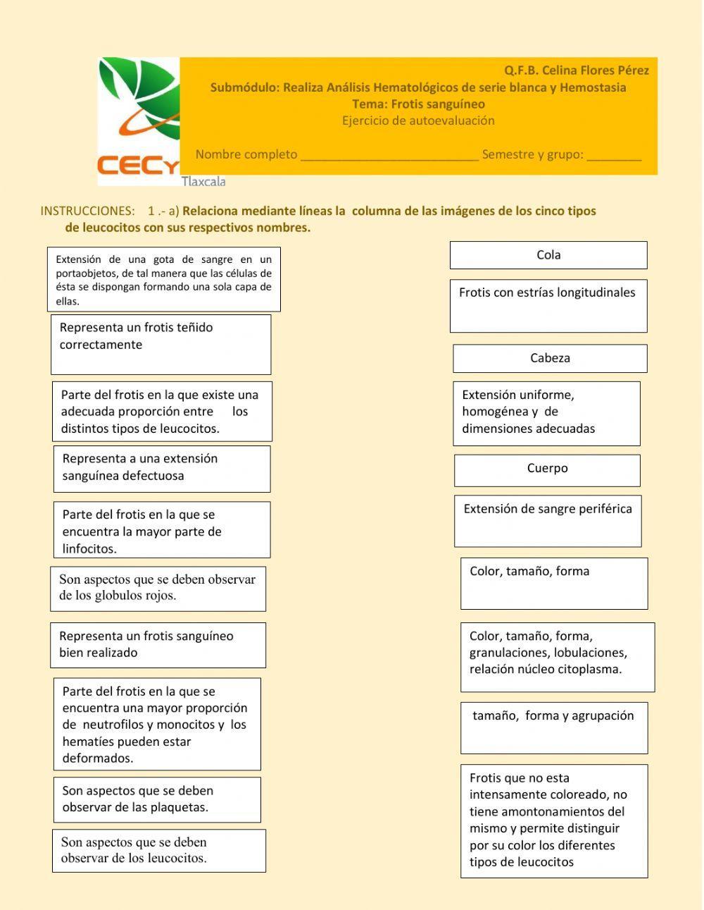 Frotis sanguineo y tinción wright