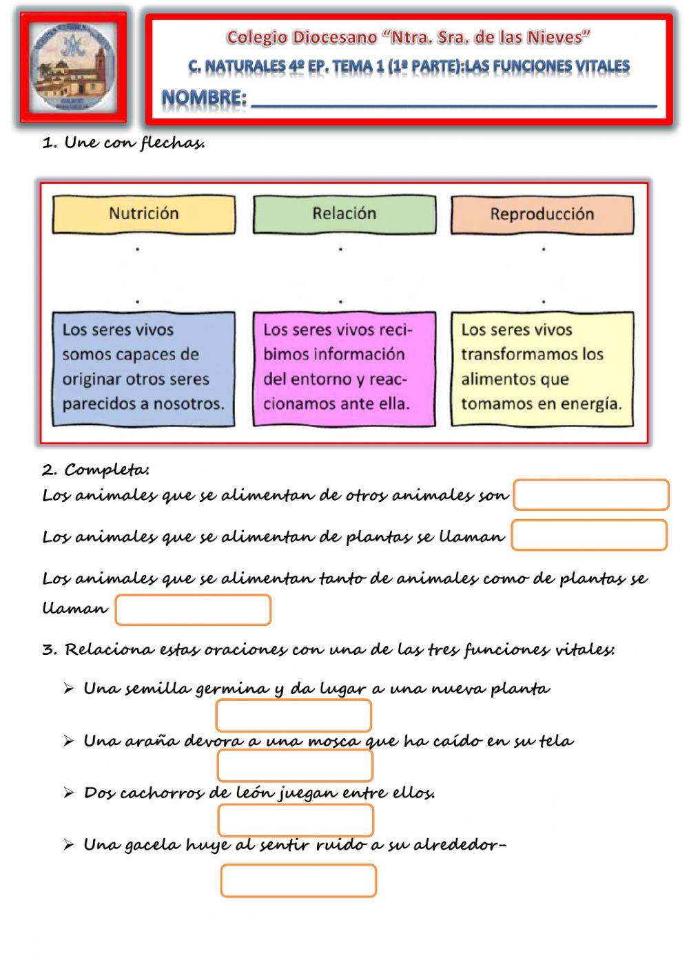 Tema 1. (1ª Parte). Las funciones vitales en los seres vivos.