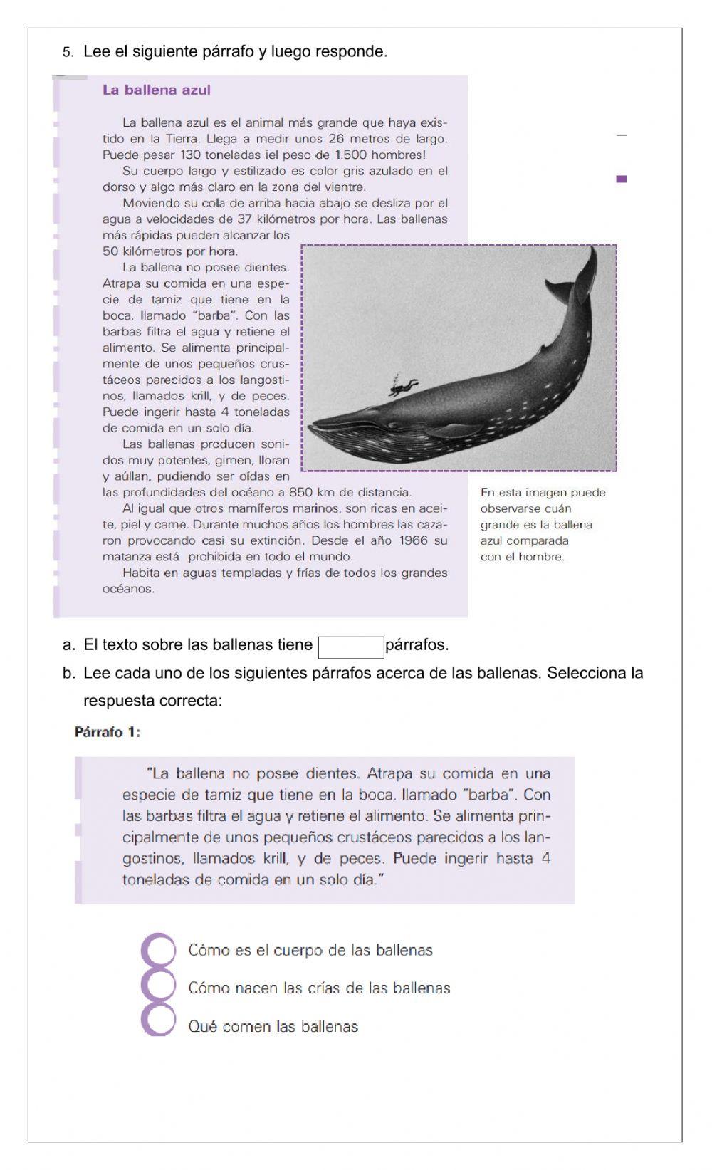 Síntesis Lengua Castellana