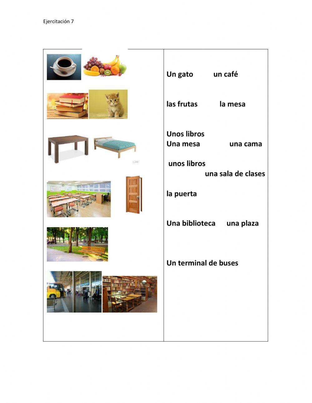 Definidos e indefinidos gramática