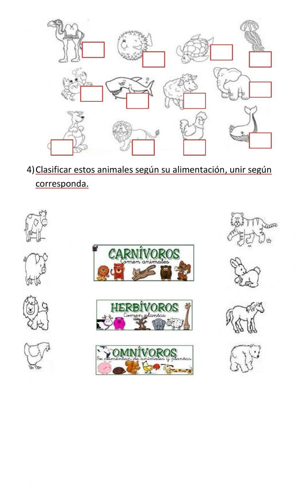 Trabajo práctico de ciencias 1° grado