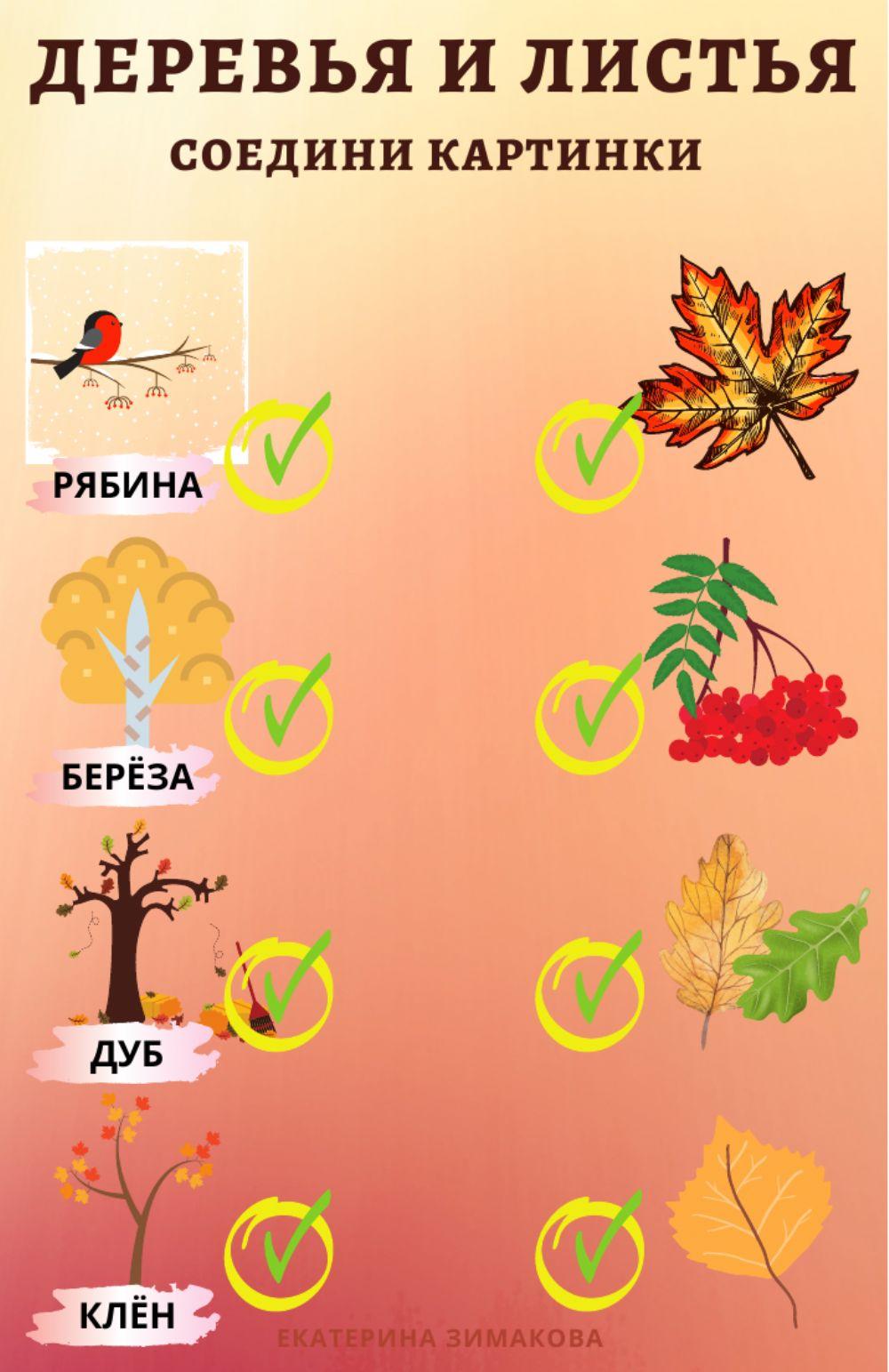 Осенние деревья и листья