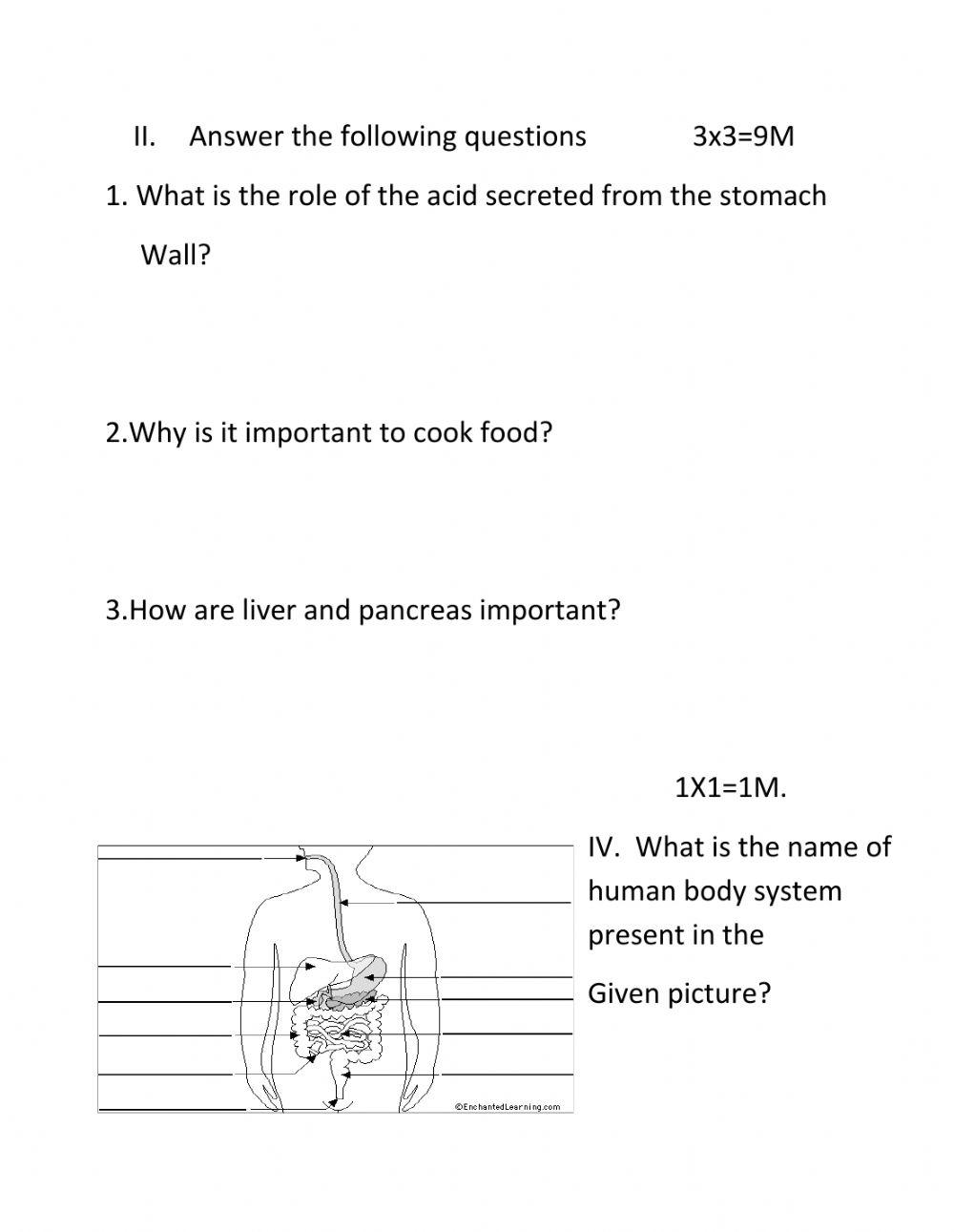 Digestion Digestion