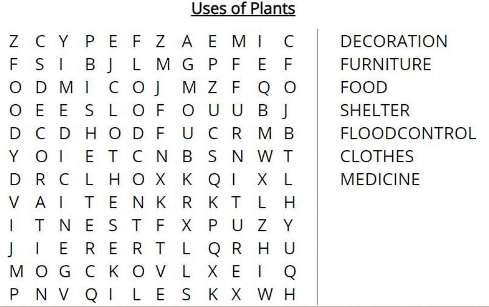 Uses of plants
