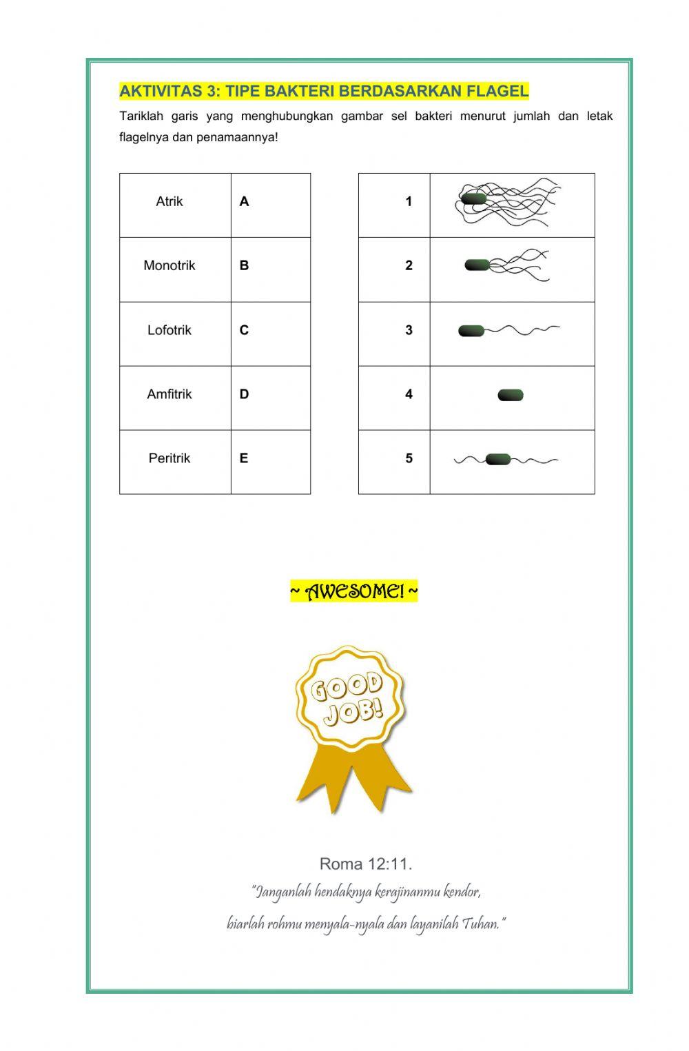 Struktur Bakteri (Pelatihan e-guruku.id)