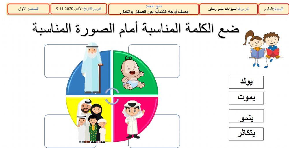 ورقة عمل تفاعلية