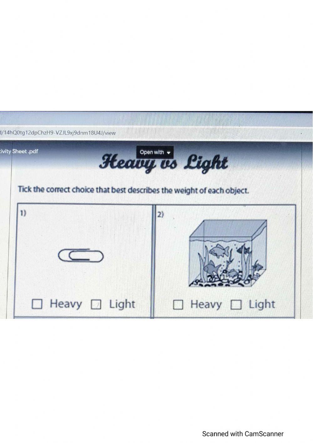 Heavy  light