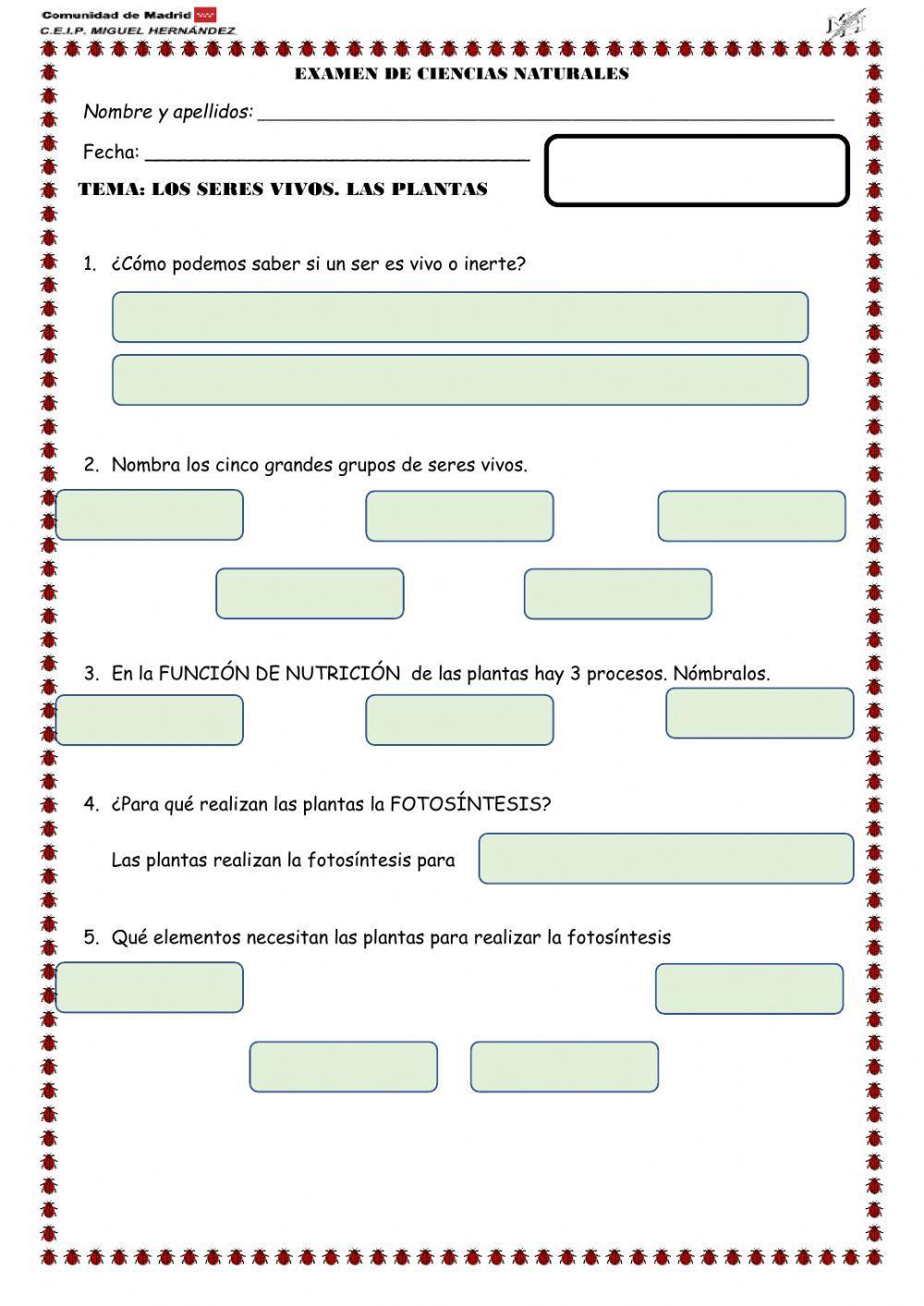 Prueba de evaluación tema 1: las plantas