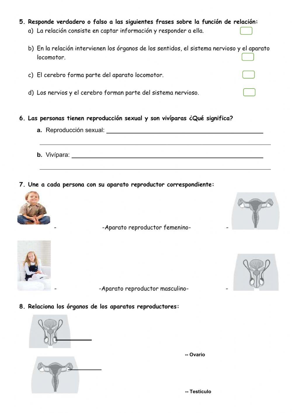 Tema 1 naturales 3º primaria