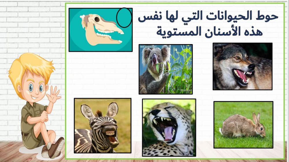 اكلة النبات