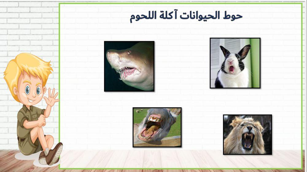 اكلة اللحوم